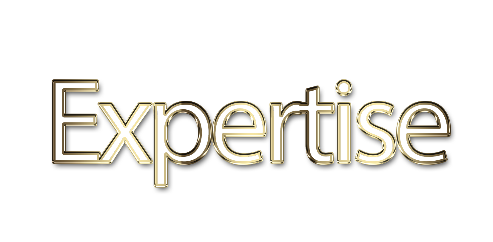 Expertise png, word Expertise png, Expertise word png, Expertise text png, Expertise letters png, Expertise word art typography PNG images, transparent png